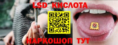 ALPHA PVP Ярославль