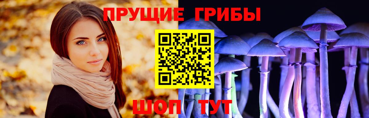 Галлюциногенные грибы Cubensis  Галлюциногенные грибы MAGIC MUSHROOMS  Когалым  Вход с VPN 
